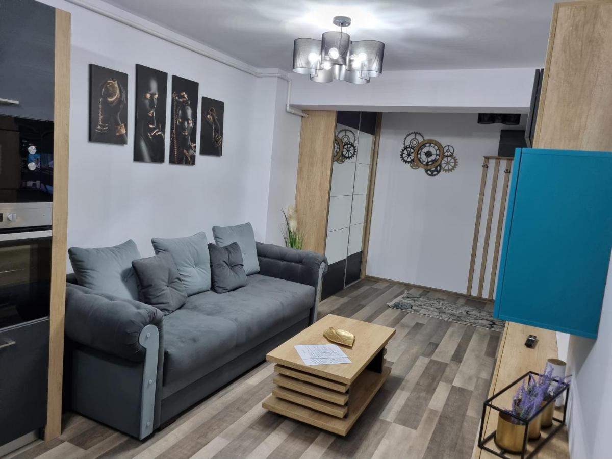 Luxury Apartments Bacău Zewnętrze zdjęcie
