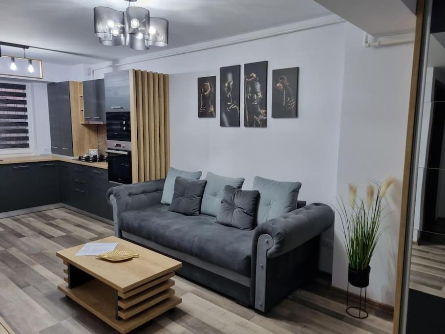 Luxury Apartments Bacău Zewnętrze zdjęcie